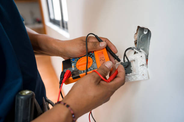 Best Electric Panel Repair  in Rochelle, GA